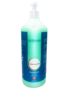 PH Rich Correcting Shampoo 2