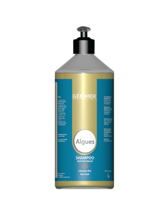Algen Shampoo 2