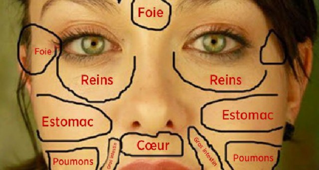 les méridiens du visage par le laboratoire géomer