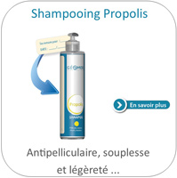 shampoing propolis 