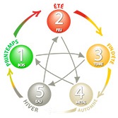 Wet van de 5 elementen