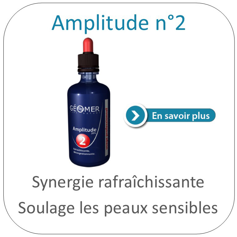 amplitude numéro deux du laboratoire géomer