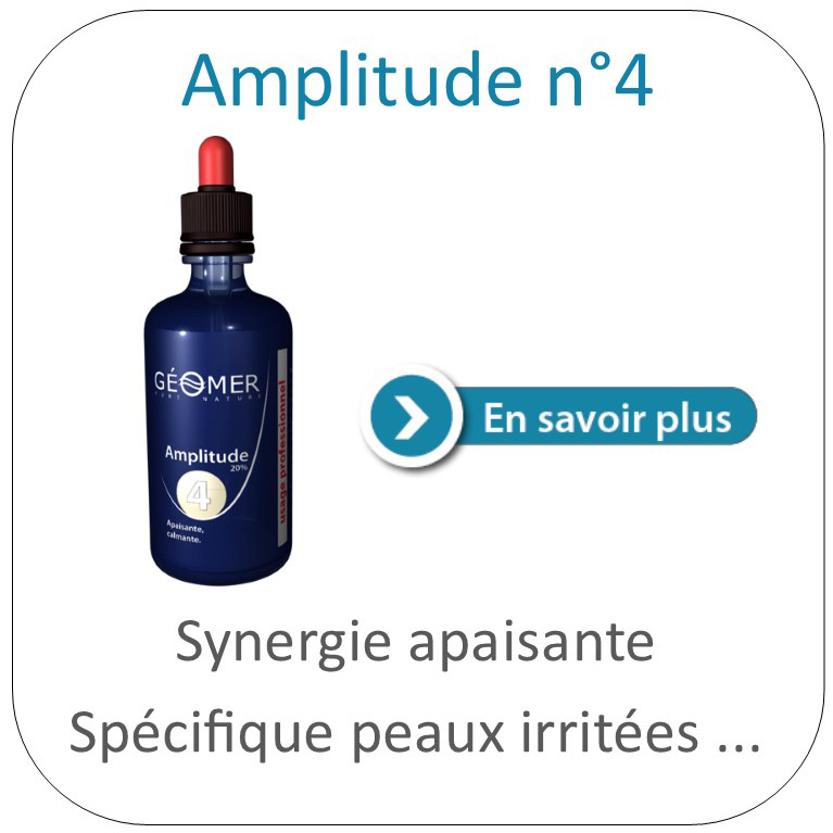 amplitude numéro 4 du Laboratoire Géomer