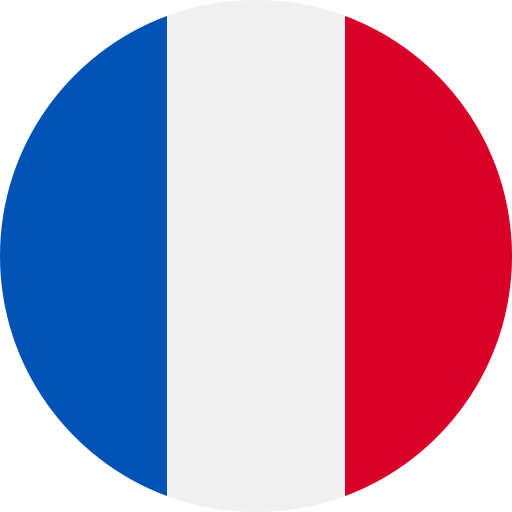 8043086-icone-drapeau-france-vectoriel.jpg