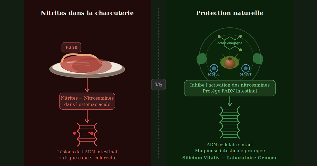 nitrites dans le jambon