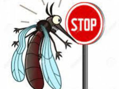 Nuevo Spray Anti-Mosquitos de Laboratorio Géomer: Eficacia y Respeto al Medio Am