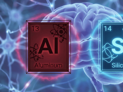 Silicium et Cerveau : pourquoi l'élément n°14 est votre meilleur allié
