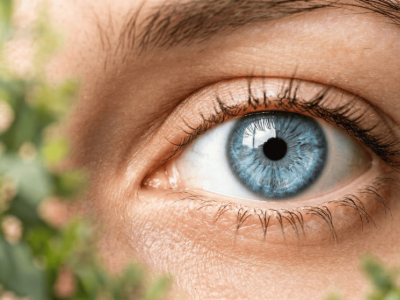 Silicium organique et yeux : le lien biologique que personne ne vous a expliqué