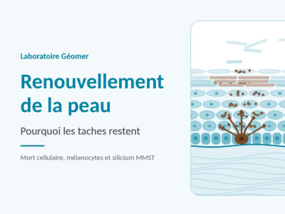 Renouvellement de la peau : pourquoi les taches restent
