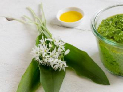 Wild garlic, excellent for skin and hair regrowth